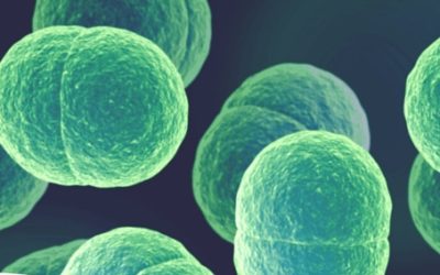 Archived illustration for Why can’t anyone agree on what the microbiome is?